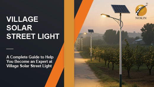 Village Solar Street Light
